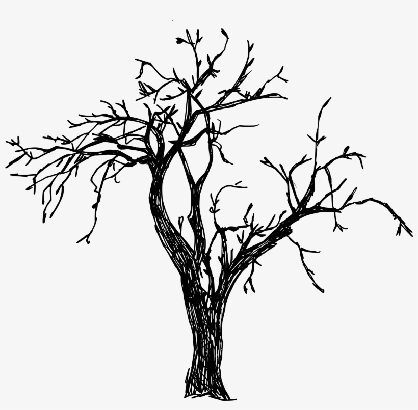 Free Download - Silhouette, transparent png