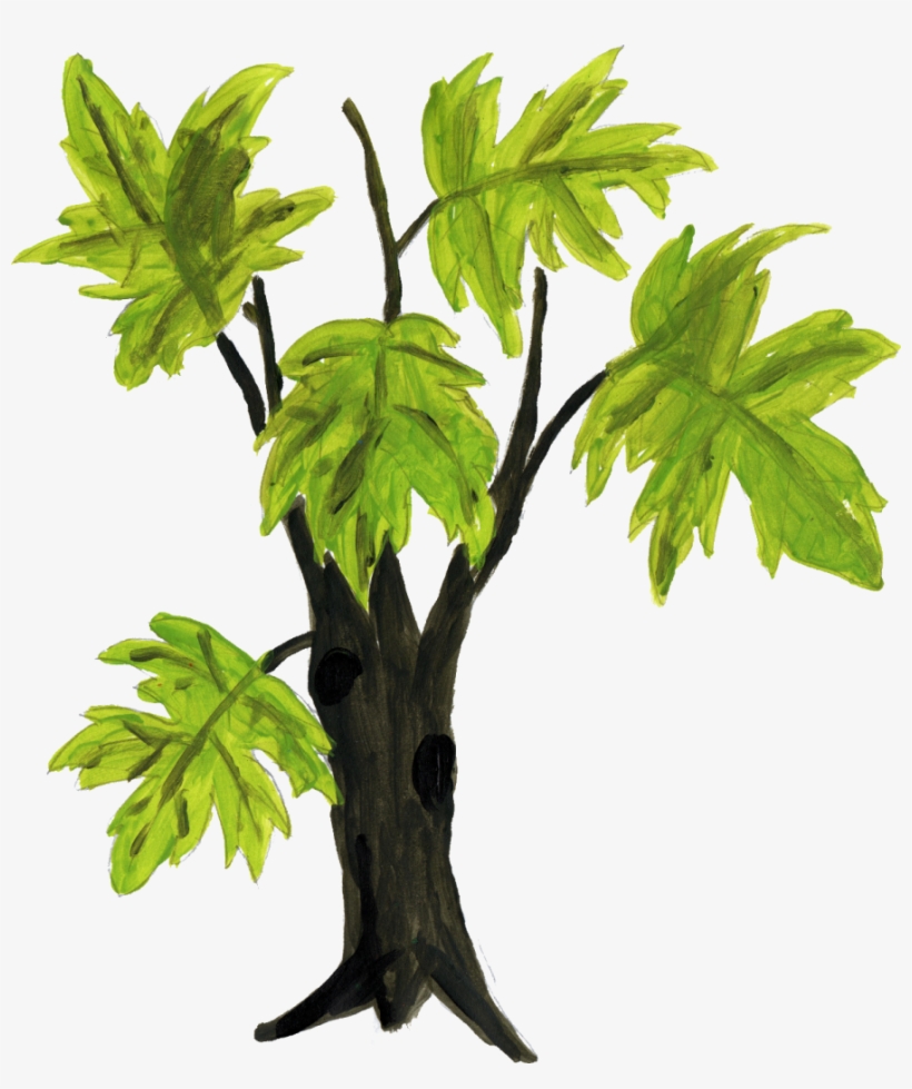 Tree Drawing Png - Wood, transparent png
