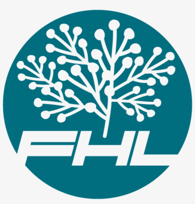 Faith And Hope League - 信心 希望 聯盟, transparent png