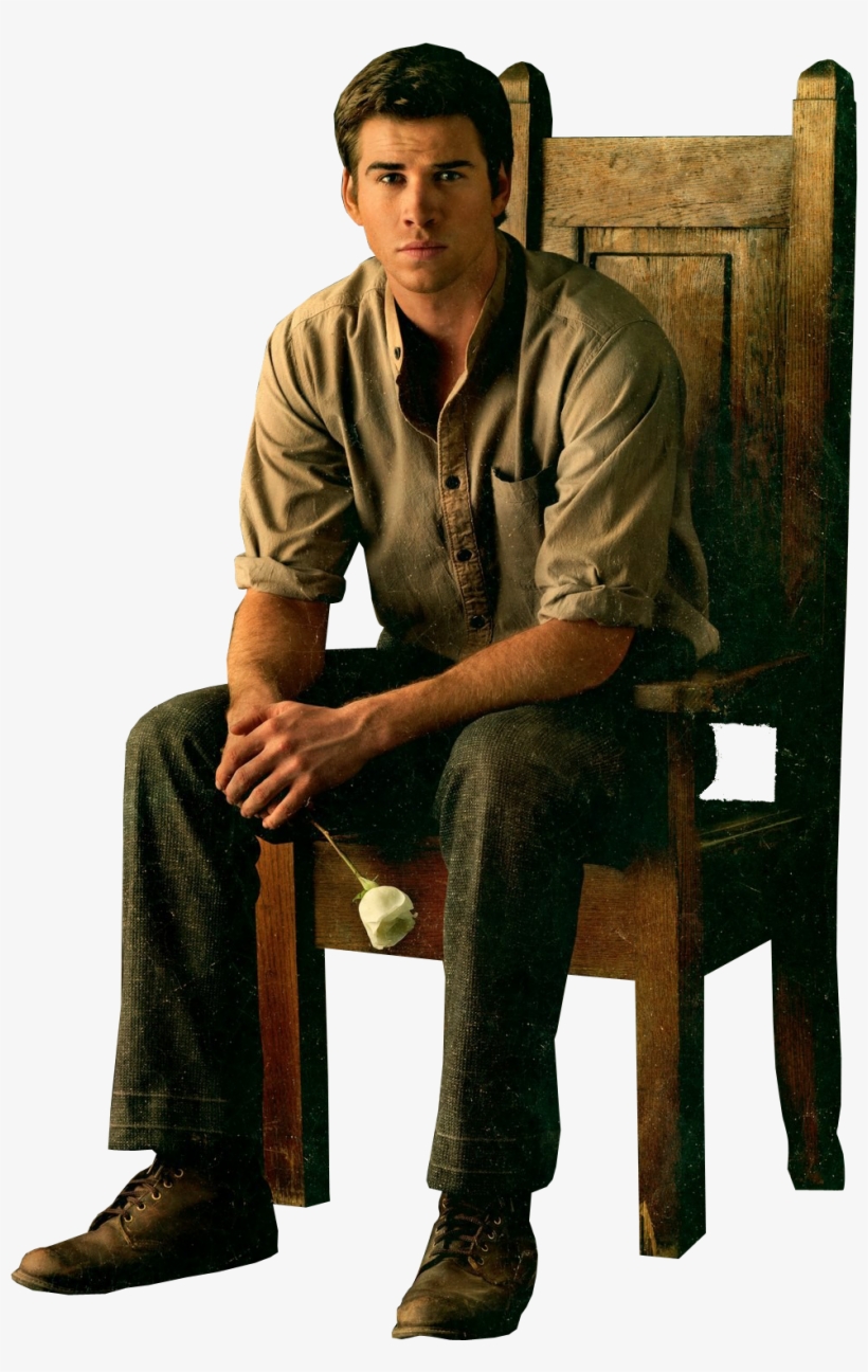 Hunger Games Catching Fire Character Posters, transparent png