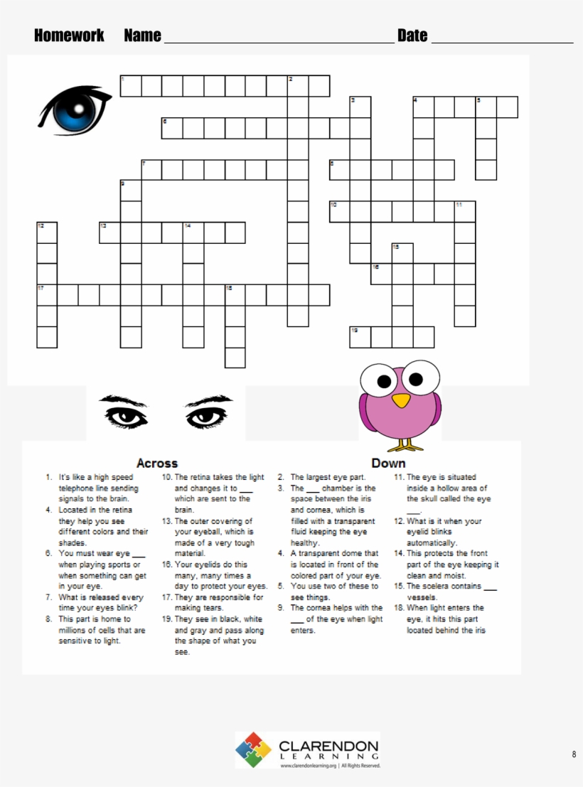 S-the Human Eye - Answer Class 9 Number System Technical Theater Vocabulary, transparent png