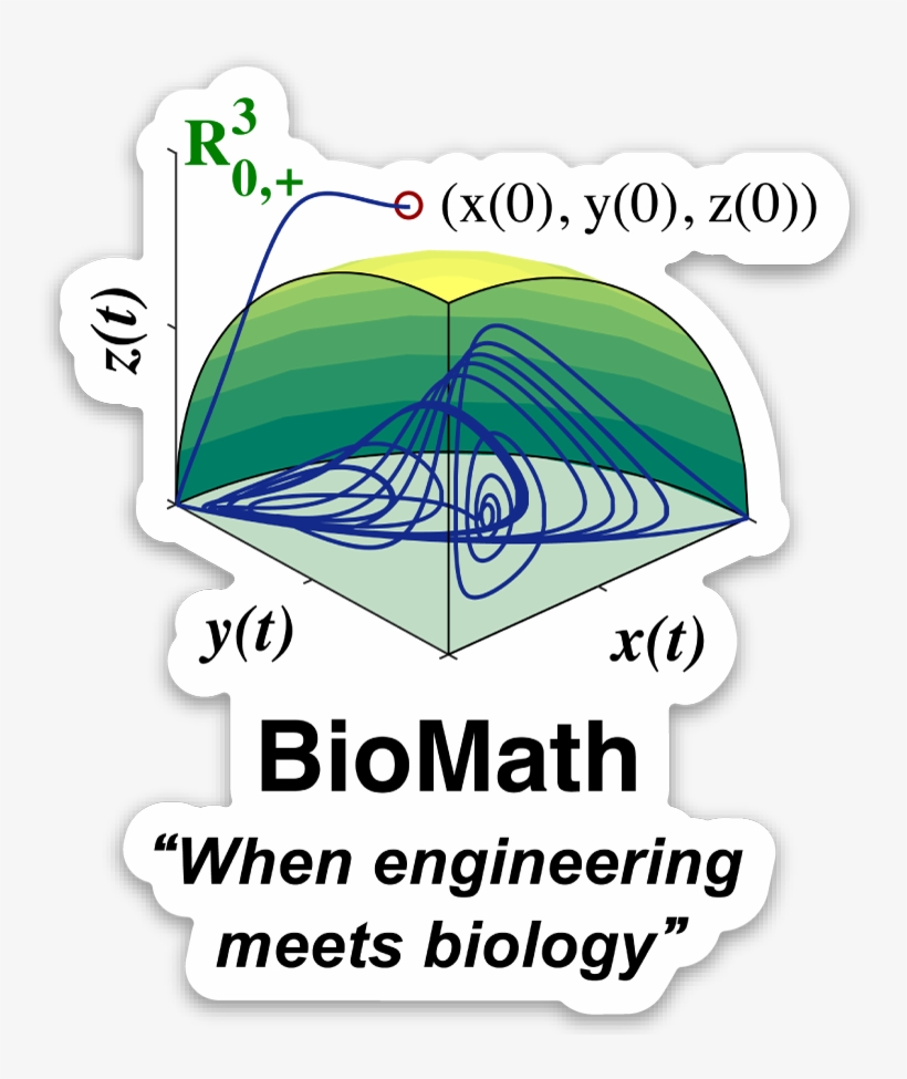Of Biomathematics So That The New Generations Of Engineers - Mathematics, transparent png