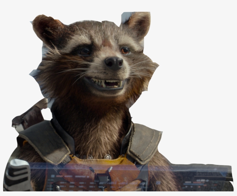 Weregonnaberich-gotg - Rocket Profile Pic Guardians, transparent png