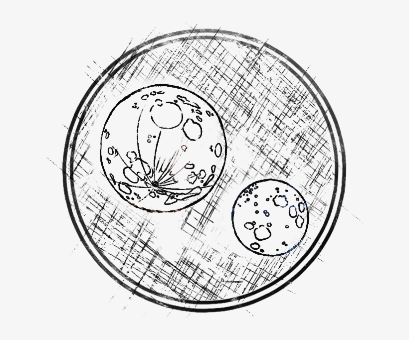 A Study In Loss, - Circle, transparent png