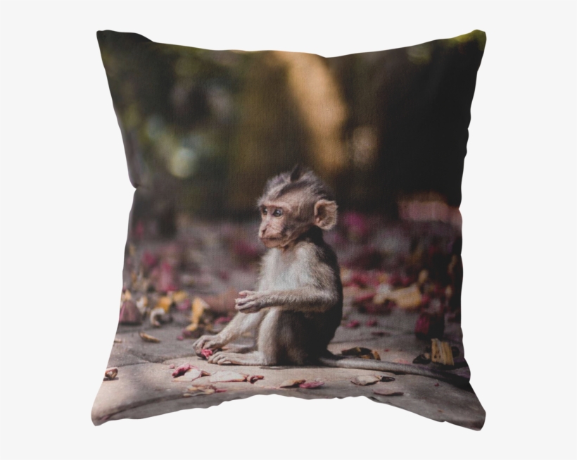 Baby Monkey - Iphone 8 Plus Monkey, transparent png