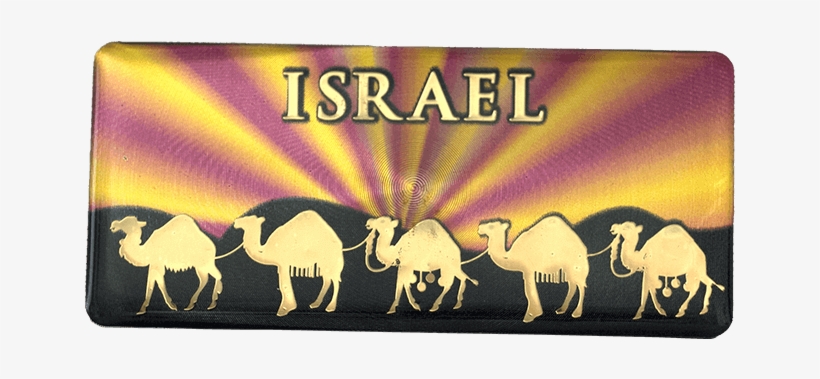 Camel Caravan Shiny Magnet - Label, transparent png