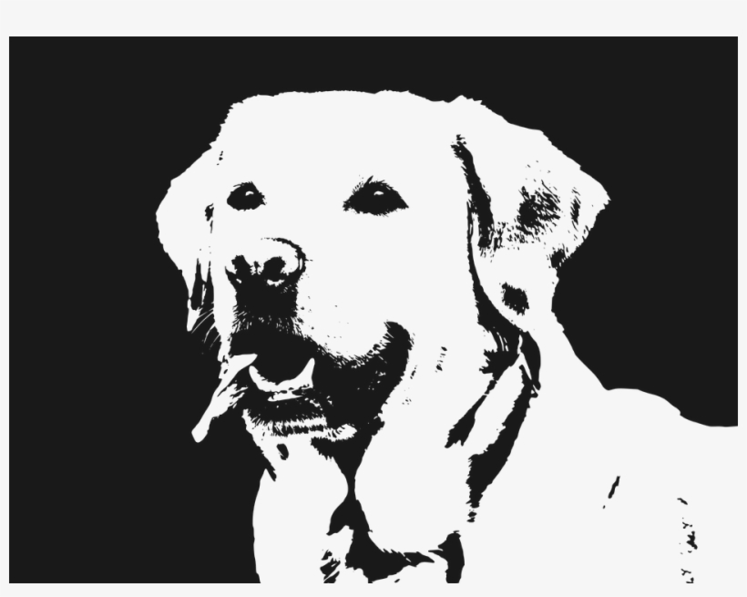 Labrador, Dog, Retriever, Animal, Pet, Happy, Cute - Labrador Vector Png, transparent png