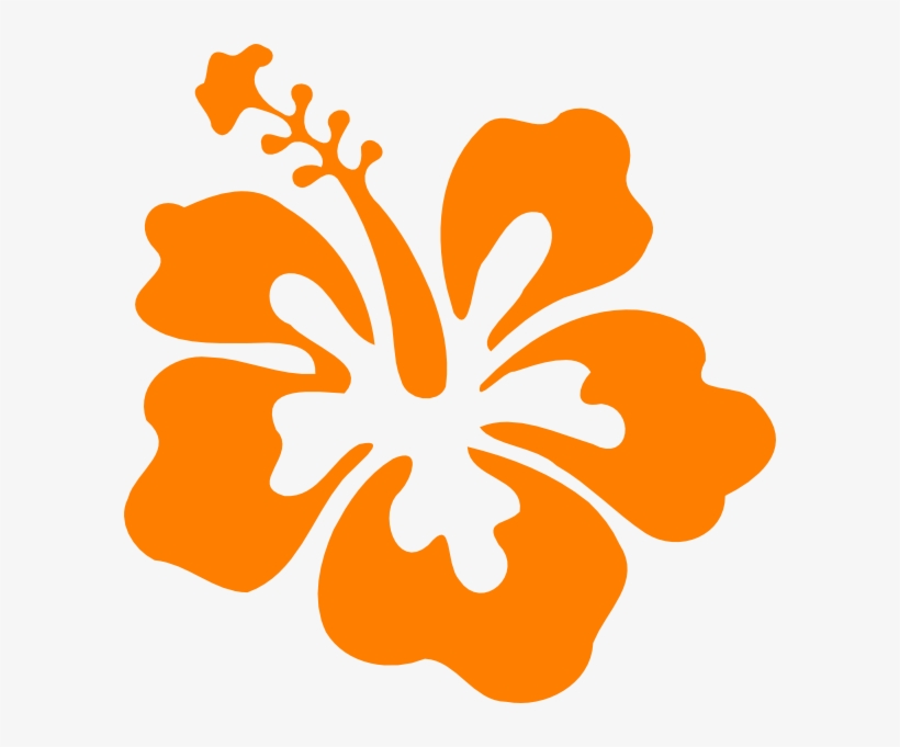 Orange Hibiscus Clip Art - Hibiscus Clip Art, transparent png