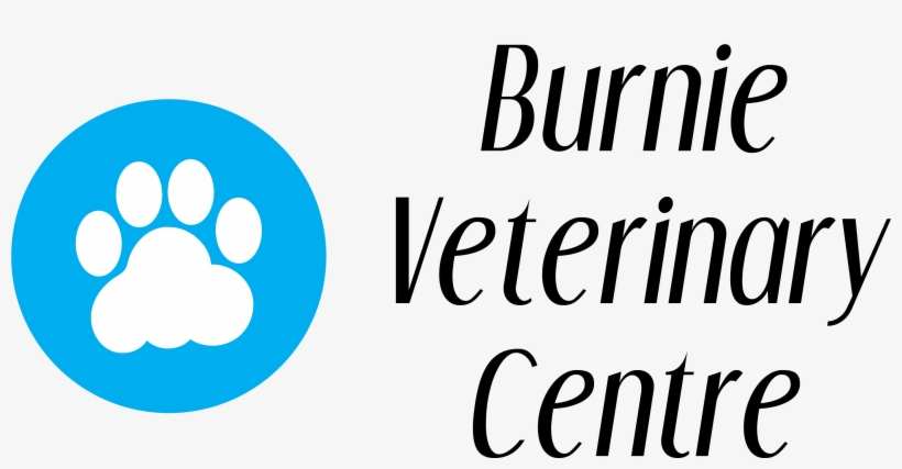 Microchipping - Permanent Identification, transparent png