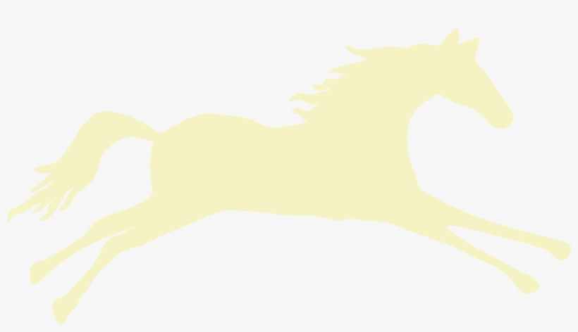Yellow Spirit Horsebarbara Breckenfeld2017 02 24t09 - Stallion, transparent png