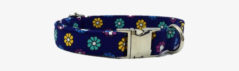 Belt, transparent png