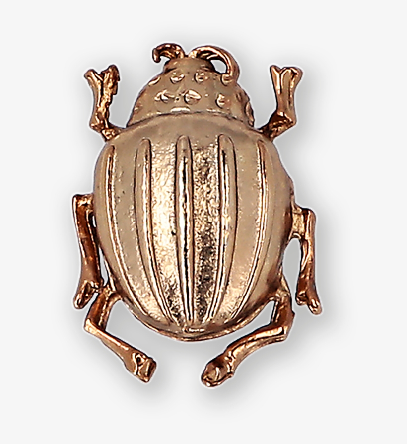 Beetle Gold-plated Brooch Ss19 Collection, Pal Zileri - True Frog, transparent png