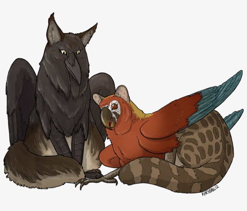 Biology - Types Of Griffins, transparent png