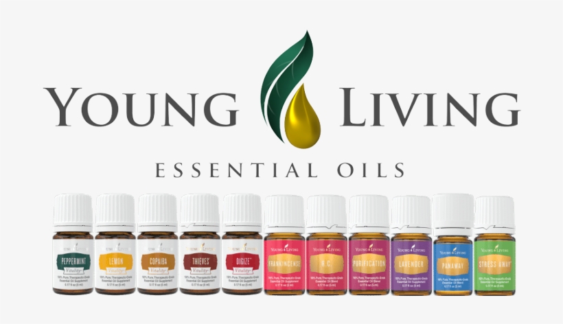 Why Choose Young Living Essential Oil - Young Living Premium Starter Kit Oils, transparent png