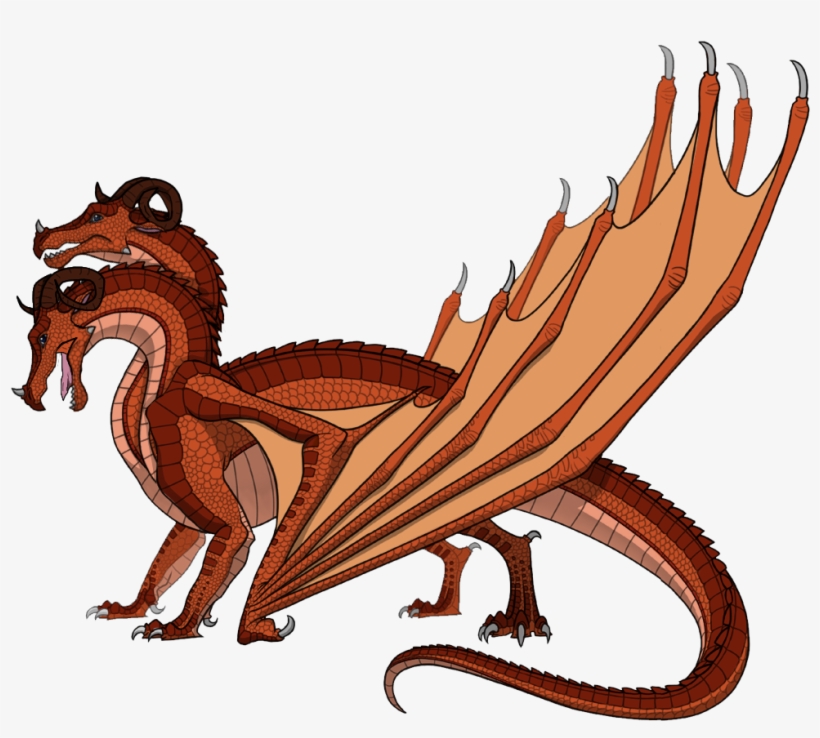 Background Information, transparent png