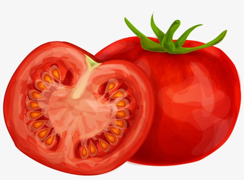 15 Tomato Clipart Png For Free Download On Mbtskoudsalg - Transparent