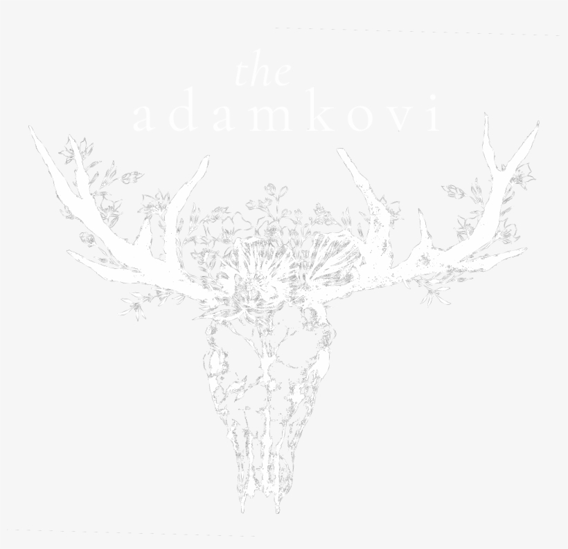 The Adamkovi The Adamkovi The Adamkovi - Antler, transparent png