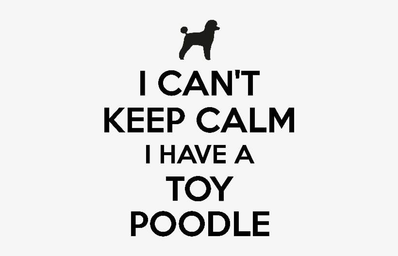 I Cant Keep Calm I Have A Toy Poodle - Vizsla, transparent png