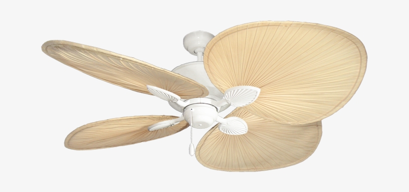 Picture Of Palm Breeze Ii Pure White With 54" Natural - Ceiling Fan, transparent png