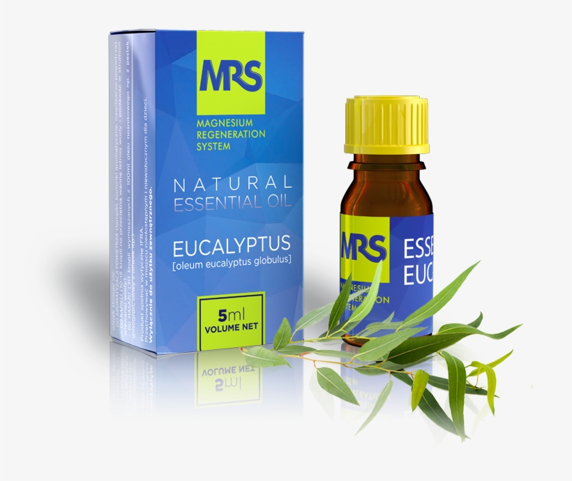 Oileucalr Mrs Eucalyptus2 Mrs Eucalyptus Oileucalr - Essential Oil, transparent png