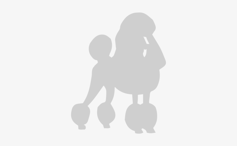 Poodle Vector Opposite - Standard Poodle, transparent png