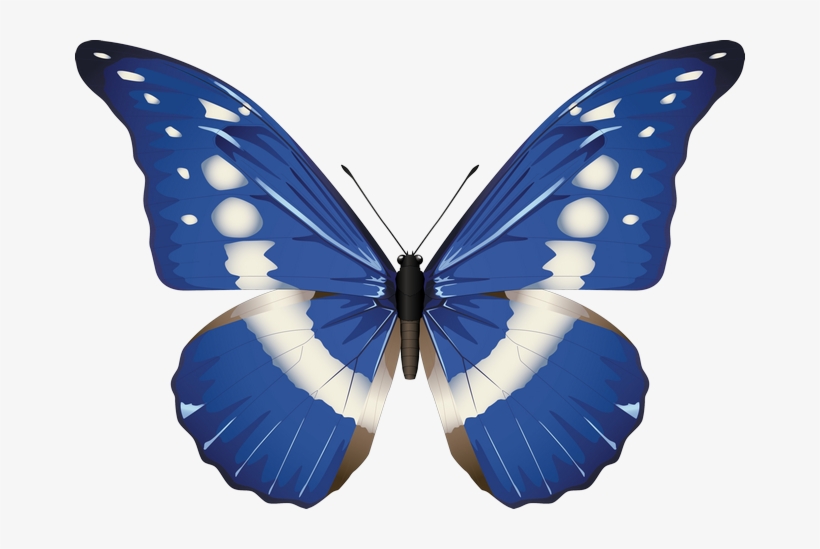 ‿✿⁀°butterflies°‿✿⁀ - Transparent Background Butterflies Png, transparent png