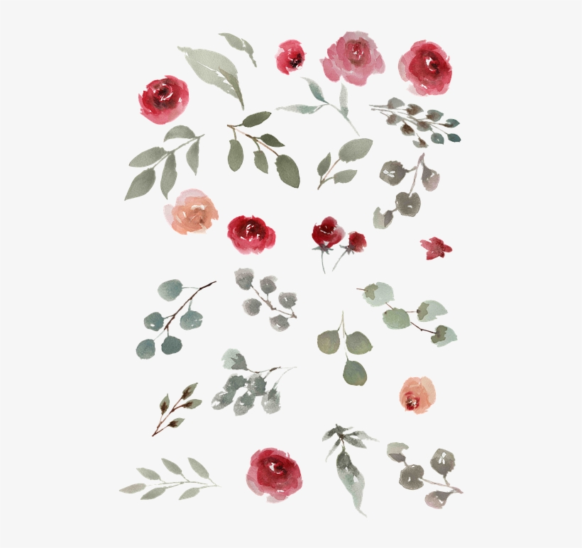 Watercolor Watercolor Roses Green Leaves Leaves - Garden Roses, transparent png