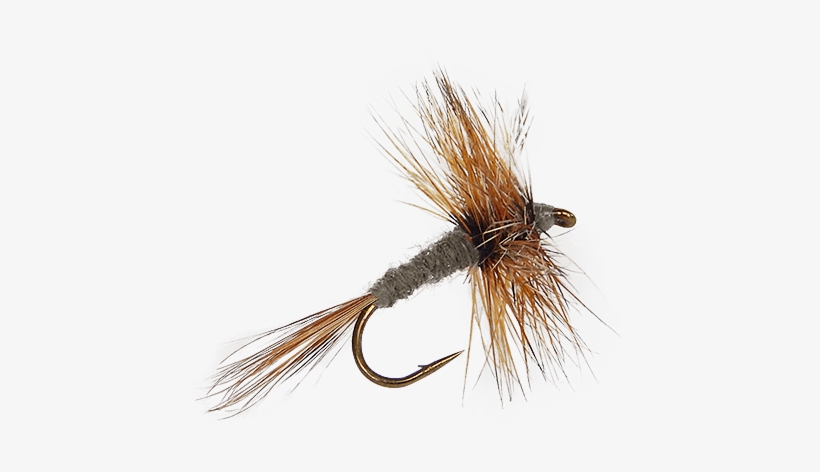 Dry Flies And Premium Dry Flies - Insect, transparent png