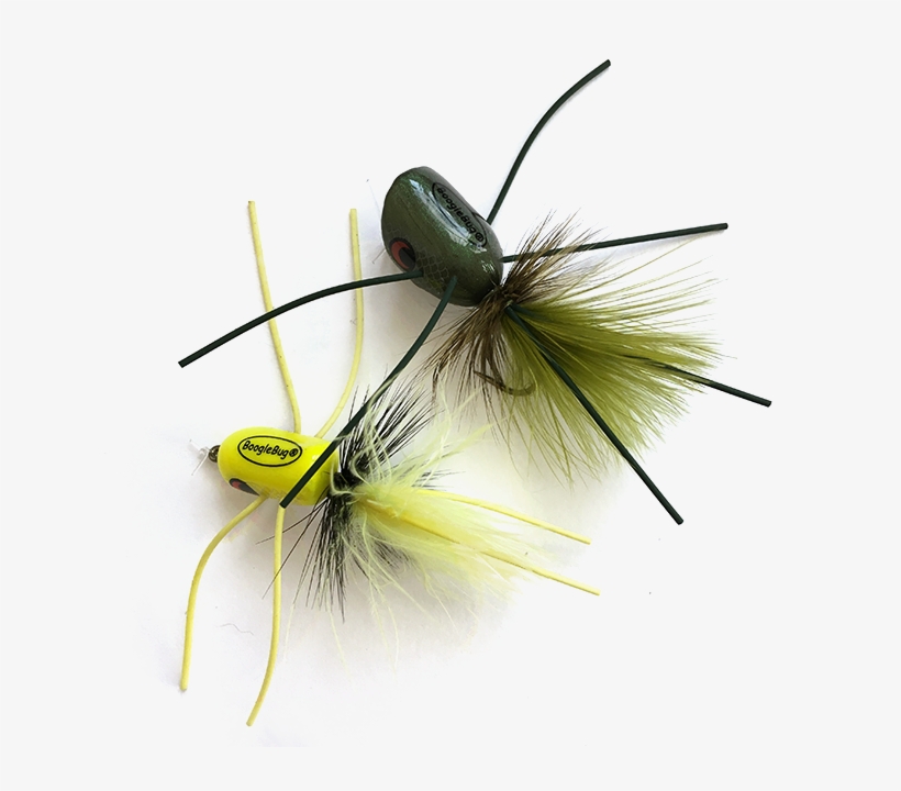 Smallmouth-flies - Insect, transparent png