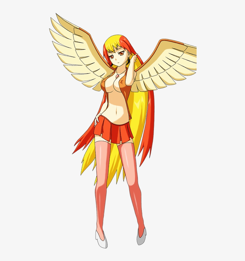 Pidgeot Human, transparent png