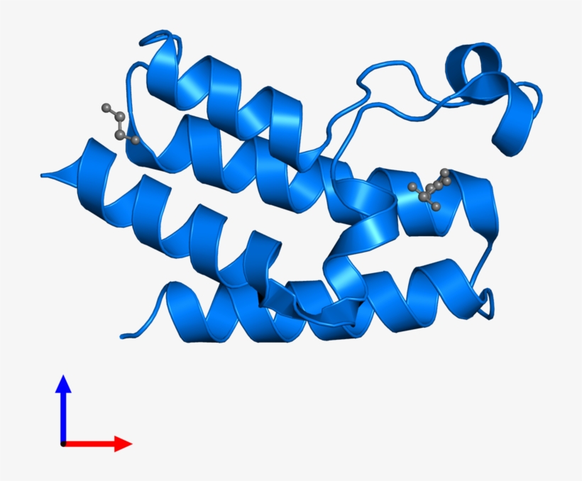 <div Class='caption-body'>pdb Entry 3nxb Contains 1, transparent png