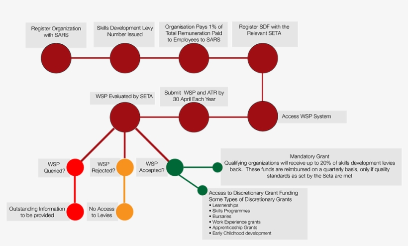 Skills Development Facilitator - Skill Development In An Organization, transparent png