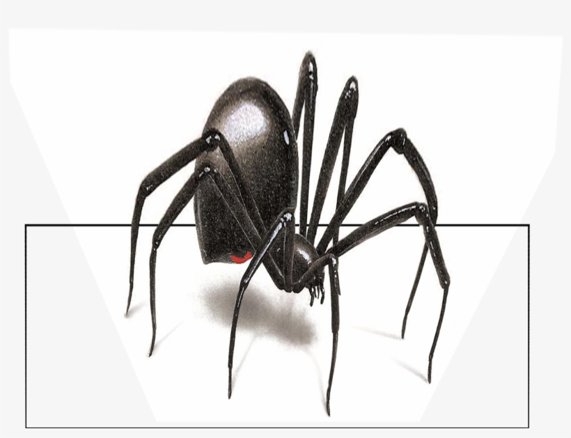3d Blackwidowfinal - Стикер Паук, transparent png