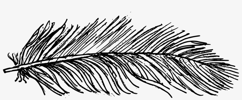 Free Download - Line Art, transparent png