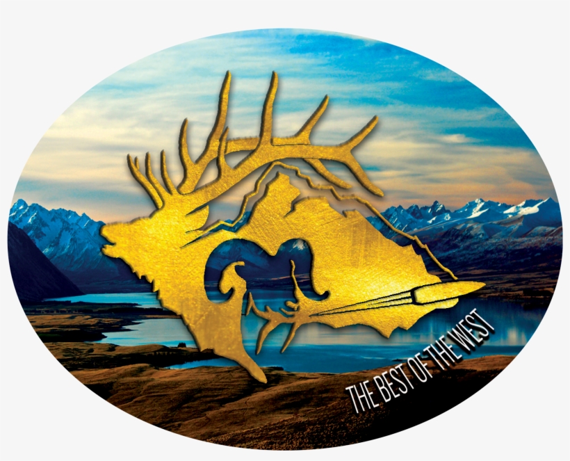 Circle, transparent png