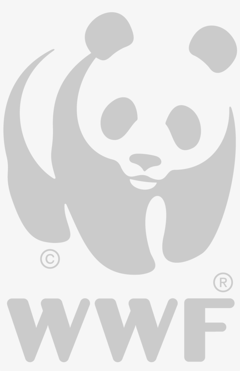 Wwf-01 - Ews Wwf, transparent png