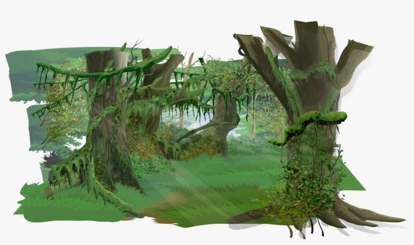 Fundo Floresta Vetor Png, transparent png