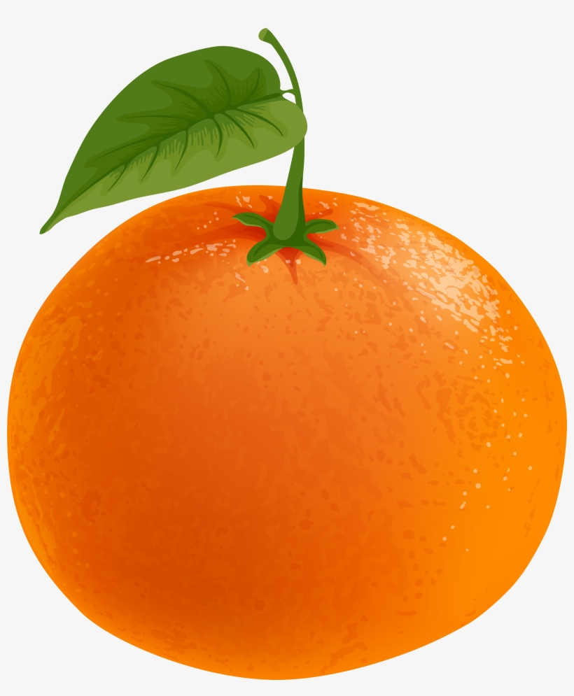 Grapefruit Png 6862x8000 PNG Download PNGkit