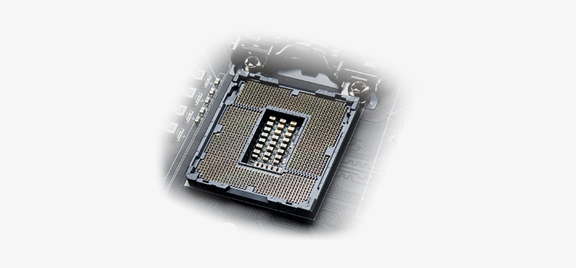 High Gold Content For Cpu Socket - Socket De Cpu Png, transparent png