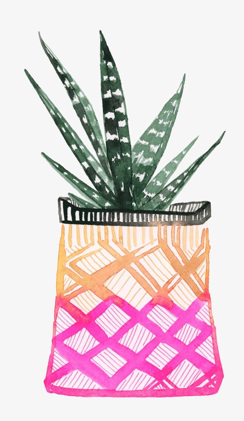 Planters-thumbnail, transparent png