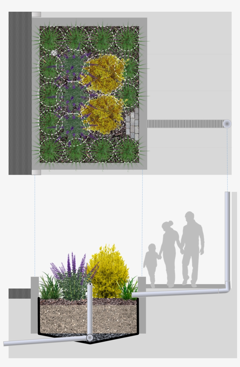 Stormwater Planter - Design, transparent png