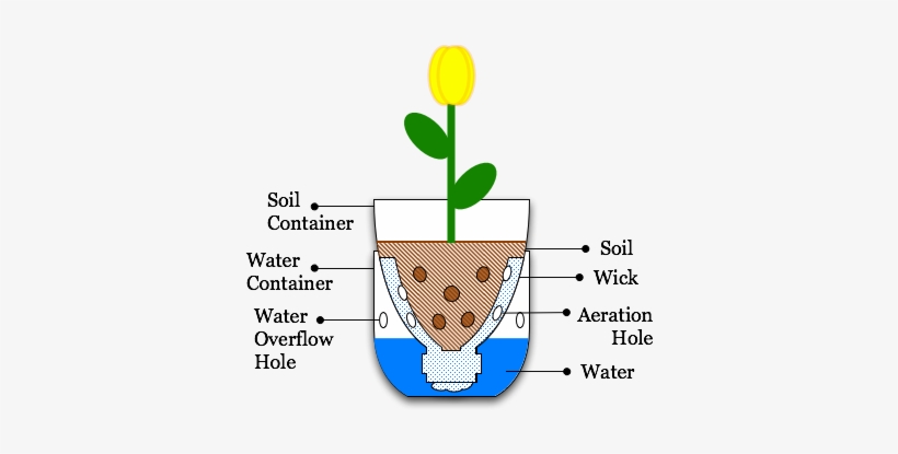 Illustration Sub Irrigated Planter From Pop Bottle - Sub Irrigated Planter, transparent png