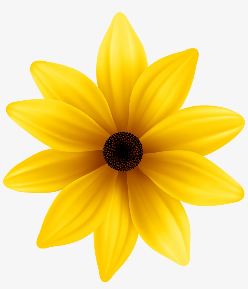 Black Flowers Png, transparent png
