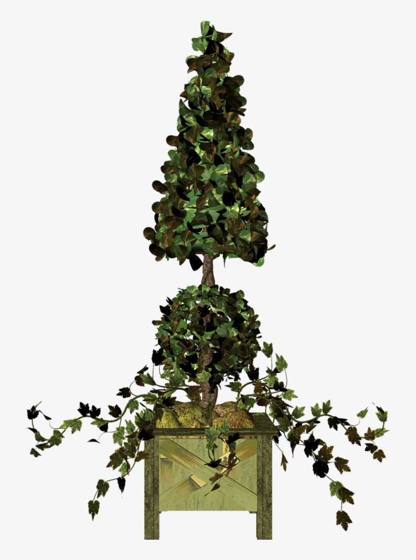 Garden Pot Plant Png Rvores Jardim E - Clip Art, transparent png