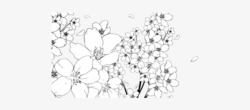 Manga Flowers Png Graphic Library - Манга Цветы Пнг, transparent png