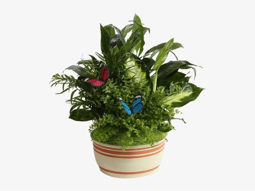 Horizon Planter, 8" Cream - Flowerpot, transparent png