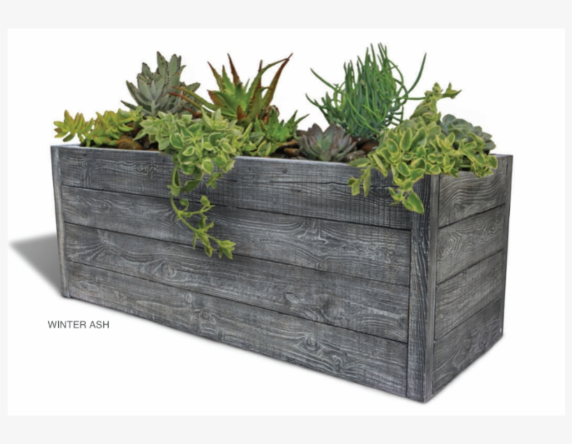 Woodform Planter - Concrete, transparent png