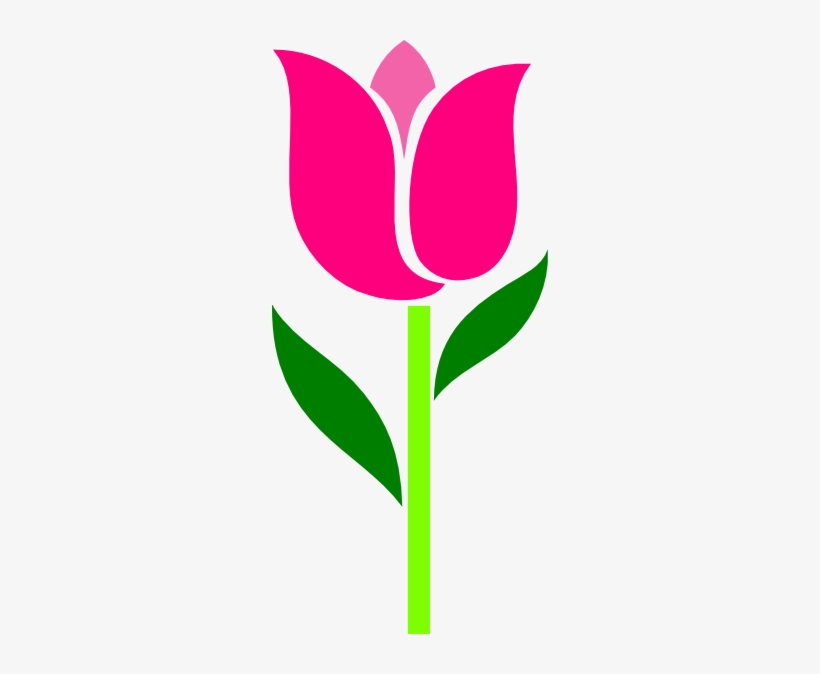 Tulip Clip Art, transparent png