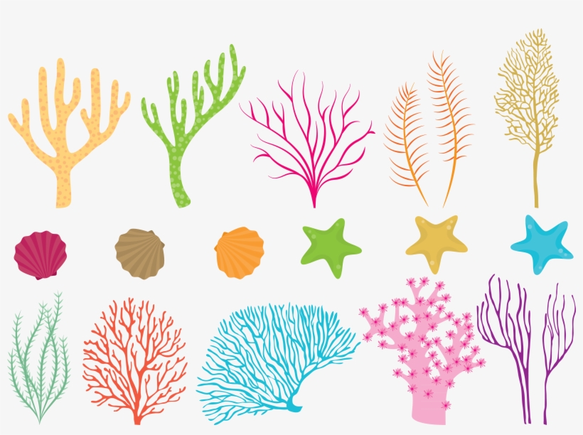 Coral Reef Png Clipart Black And White Stock - Coral Reef Vector Free Download, transparent png
