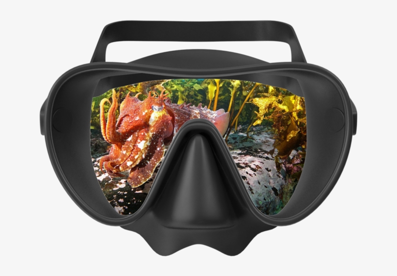 Cuttle - Meat, transparent png